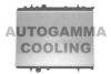 AUTOGAMMA 103171 Radiator, engine cooling